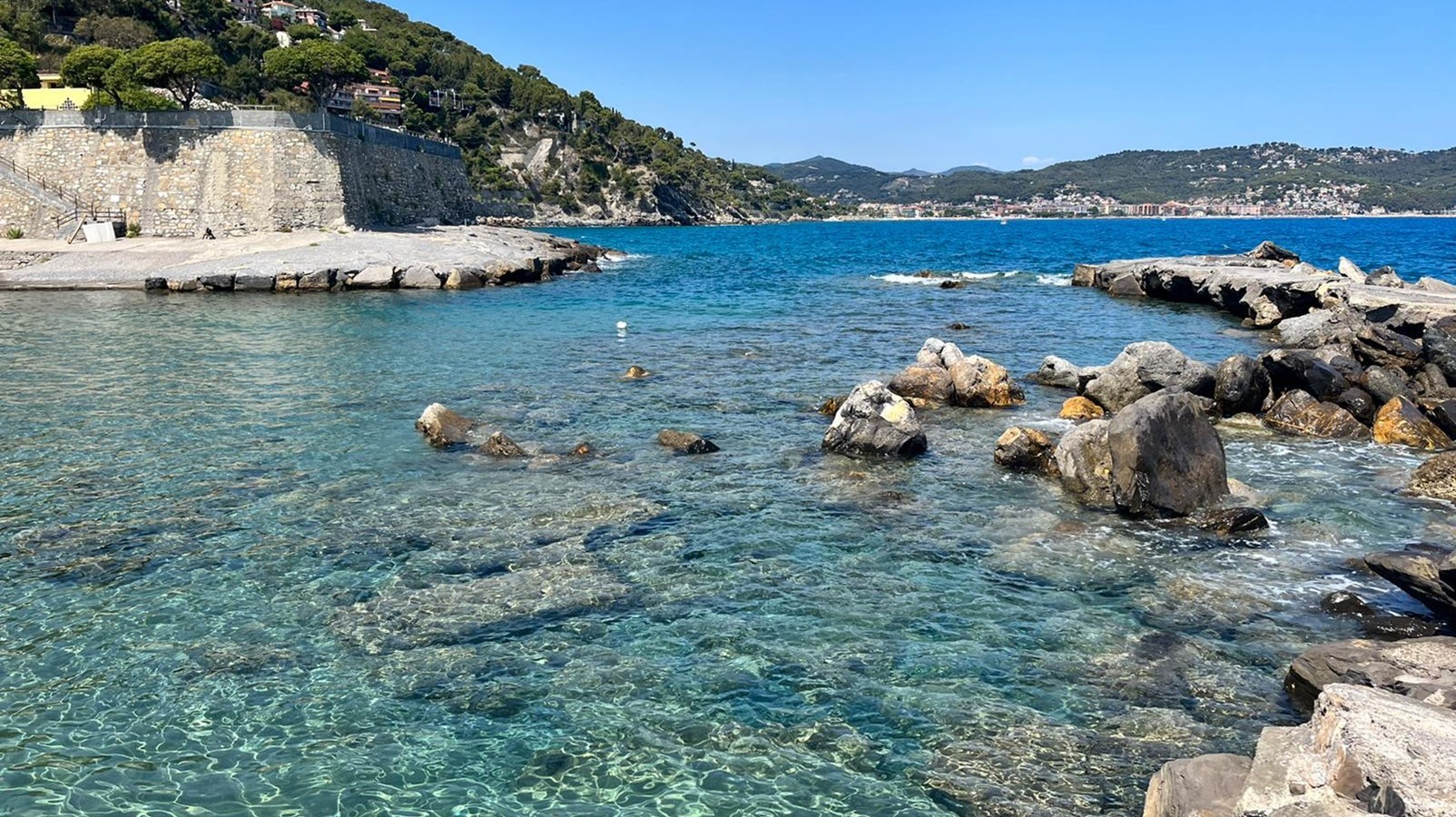Capo Mimosa