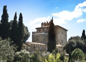 {{brizy_dc_image_alt entityId=