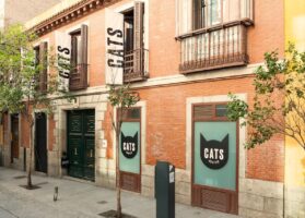 {{brizy_dc_image_alt entityId=